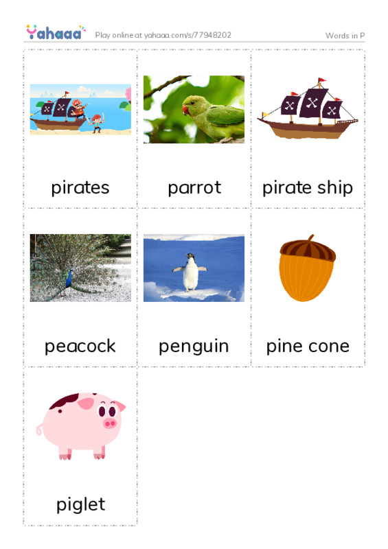 Words in P PDF flaschards with images