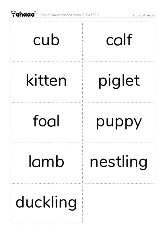 Young Animals PDF two columns flashcards