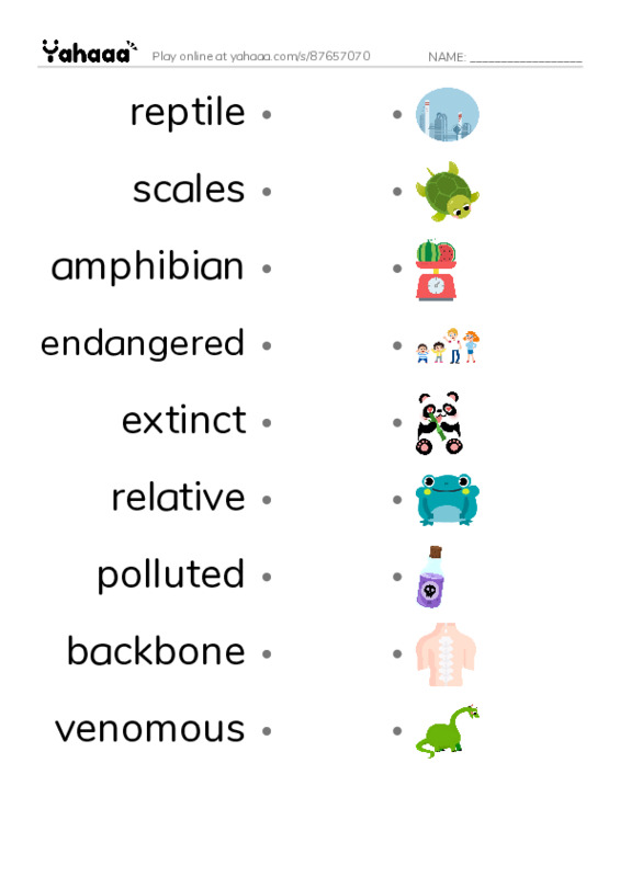 RAZ Vocabulary K: Slithery and Slimy PDF link match words worksheet