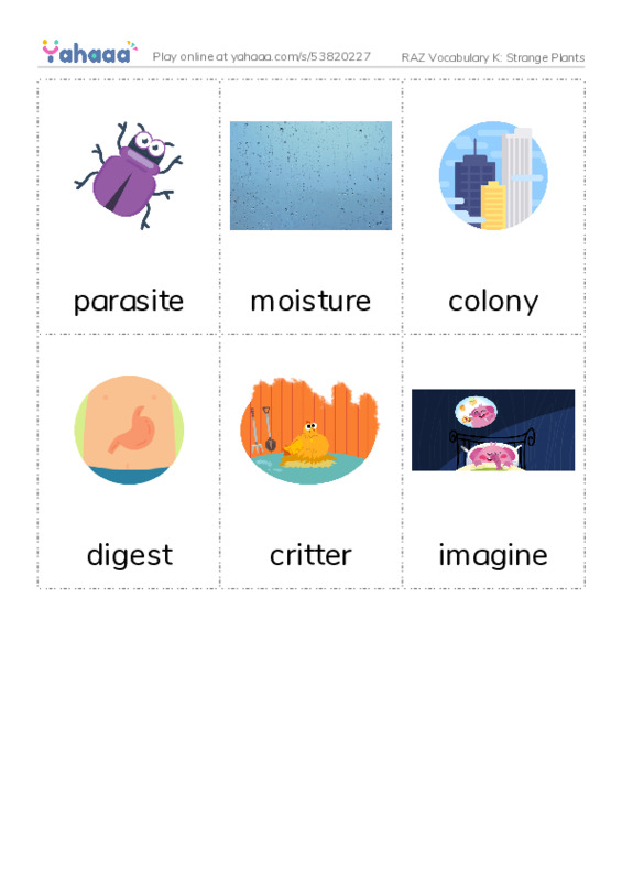 RAZ Vocabulary K: Strange Plants PDF flaschards with images