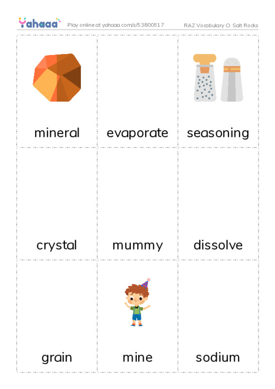 RAZ Vocabulary O: Salt Rocks PDF flaschards with images
