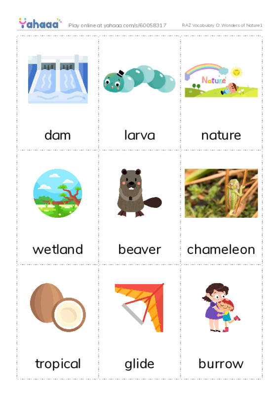 RAZ Vocabulary O: Wonders of Nature1 PDF flaschards with images