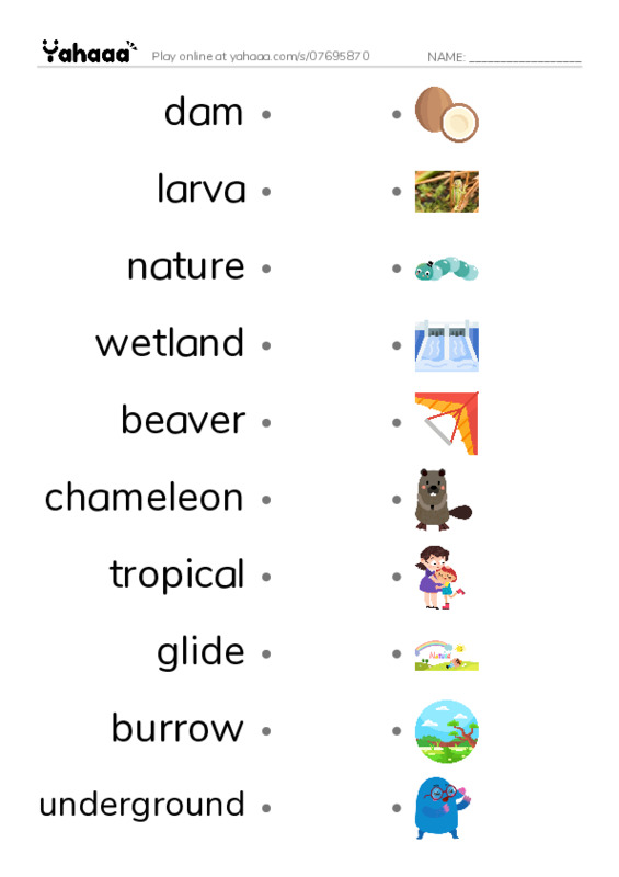 RAZ Vocabulary O: Wonders of Nature1 PDF link match words worksheet