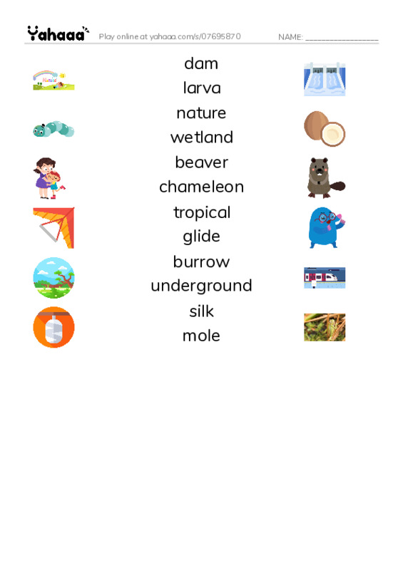 RAZ Vocabulary O: Wonders of Nature1 PDF three columns match words