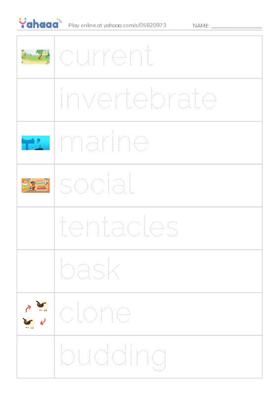 RAZ Vocabulary O: You're a Jellyfish PDF one column image words