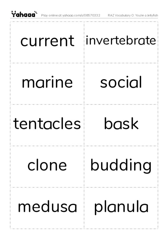 RAZ Vocabulary O: You're a Jellyfish PDF two columns flashcards