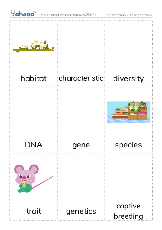 RAZ Vocabulary Z: Genetics at Work PDF flaschards with images