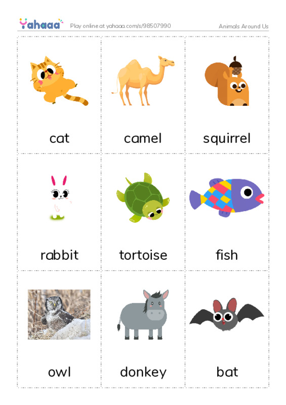 Animals Around Us PDF flaschards with images