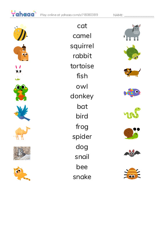 Animals Around Us PDF three columns match words