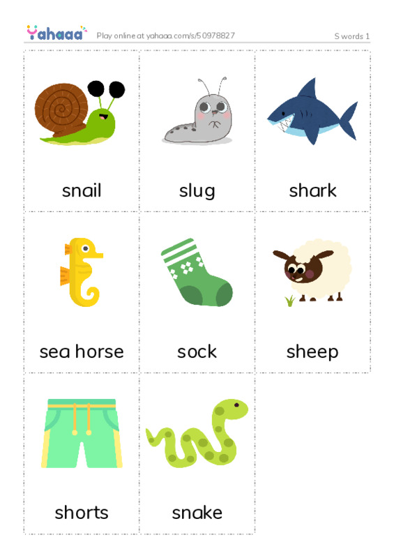 S words 1 PDF flaschards with images
