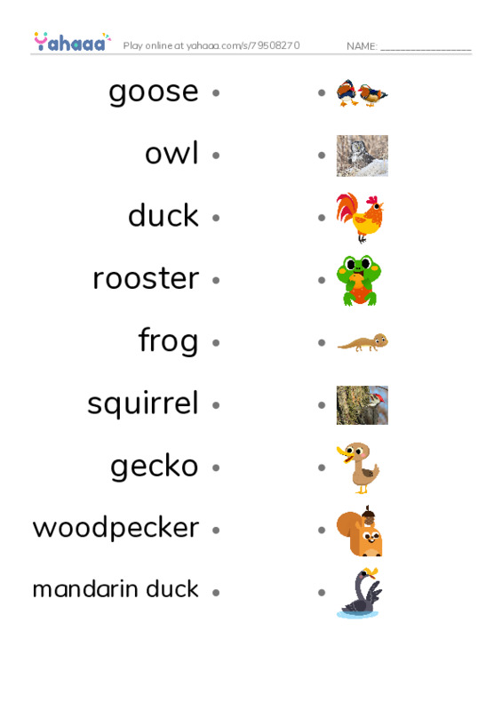 Animals in the Farm PDF link match words worksheet