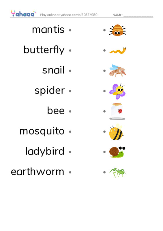 Worm and Insects PDF link match words worksheet