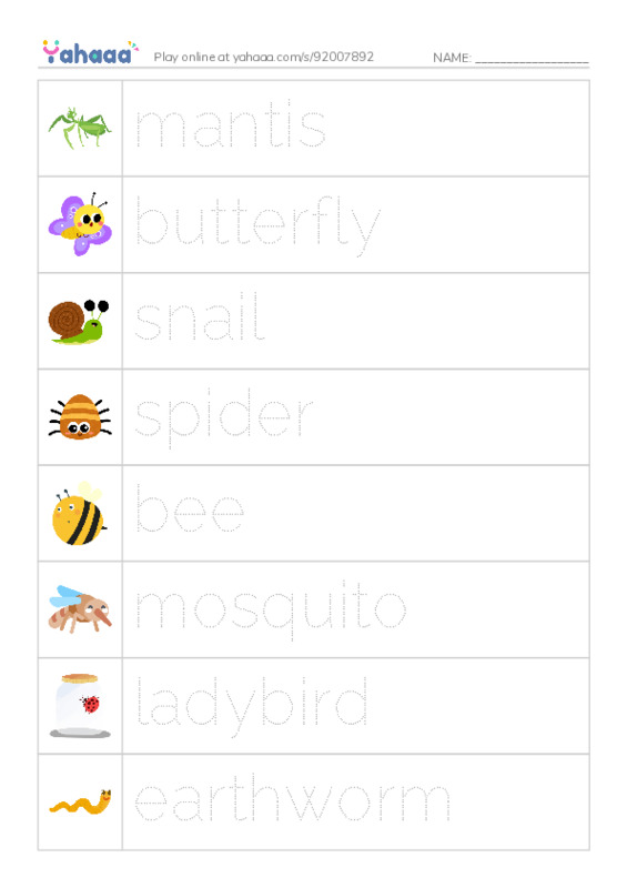 Worm and Insects PDF one column image words