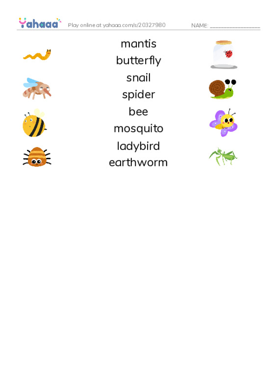 Worm and Insects PDF three columns match words