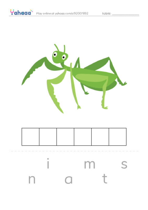 Worm and Insects PDF word puzzles worksheet