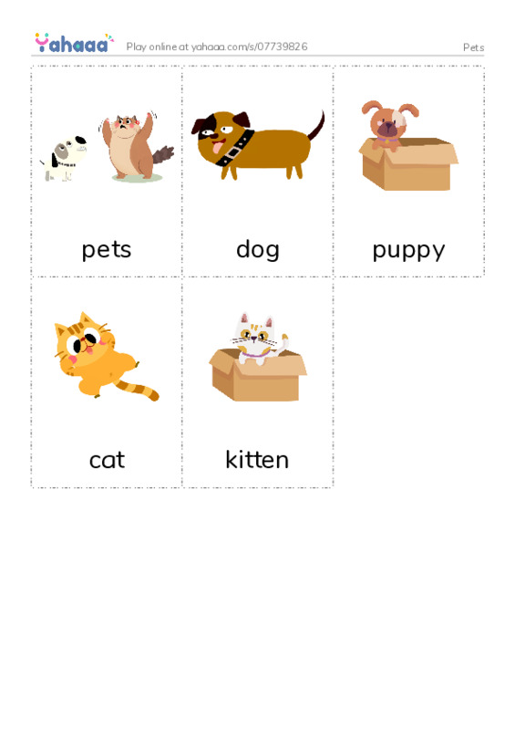 Pets PDF flaschards with images