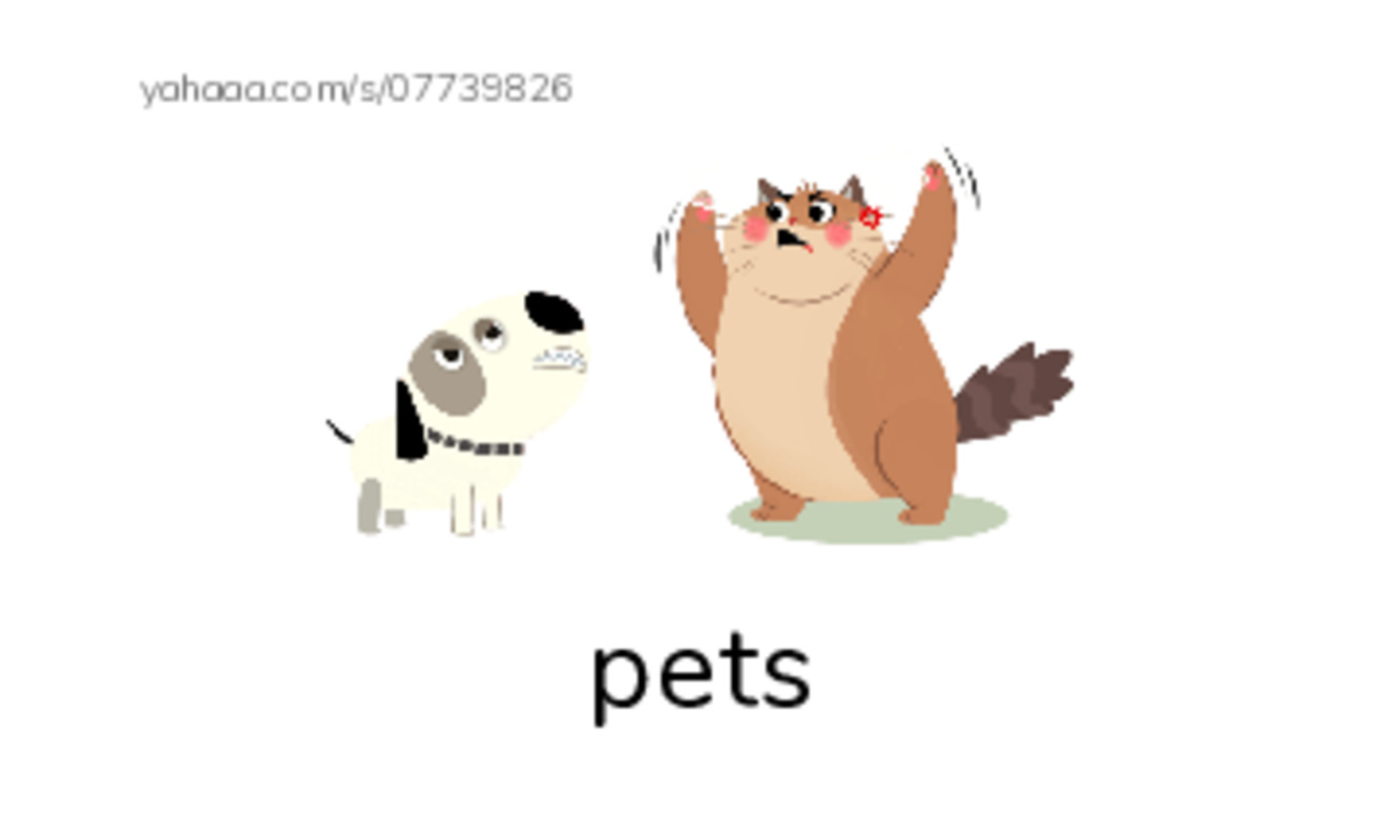 Pets PDF index cards with images
