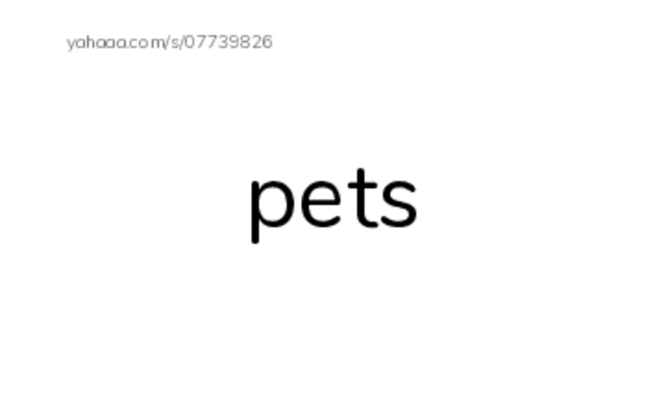 Pets PDF index cards word only