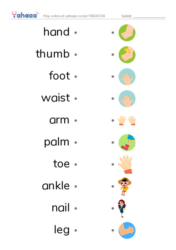 Arms and Legs PDF link match words worksheet