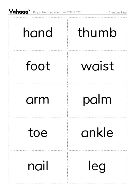 Arms and Legs PDF two columns flashcards