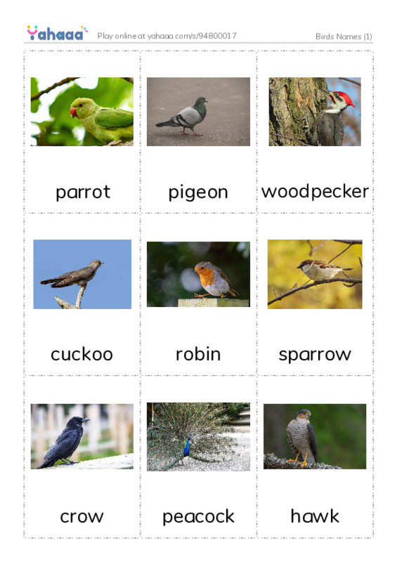 Birds Names (1) PDF flaschards with images