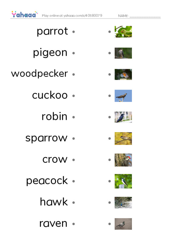 Birds Names (1) PDF link match words worksheet