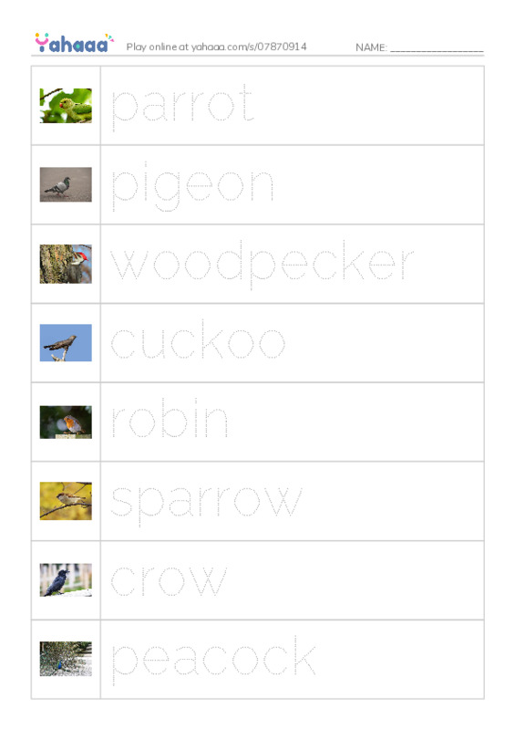 Birds Names (1) PDF one column image words