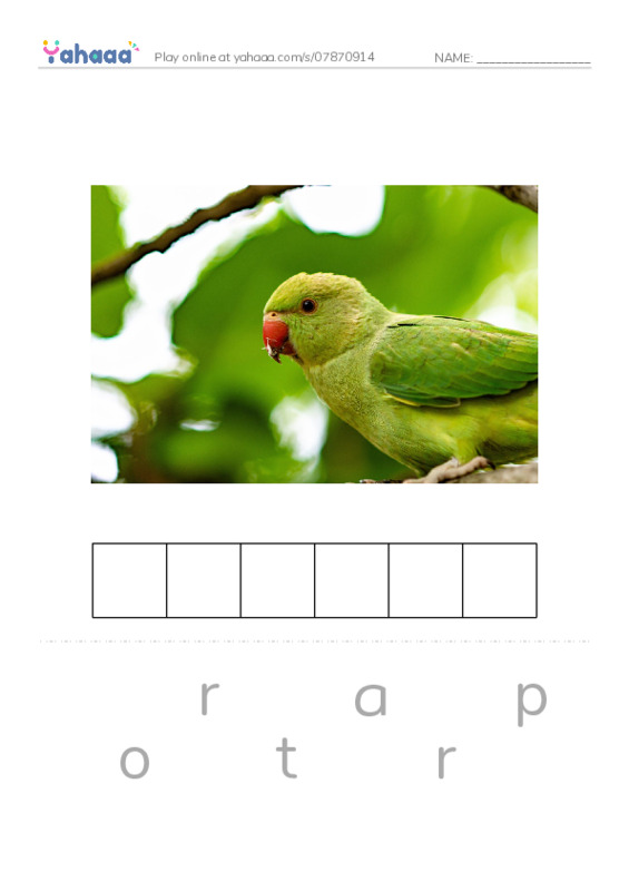 Birds Names (1) PDF word puzzles worksheet