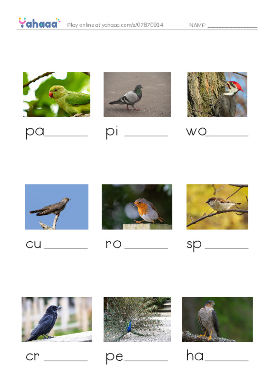 Birds Names (1) PDF worksheet to fill in words gaps