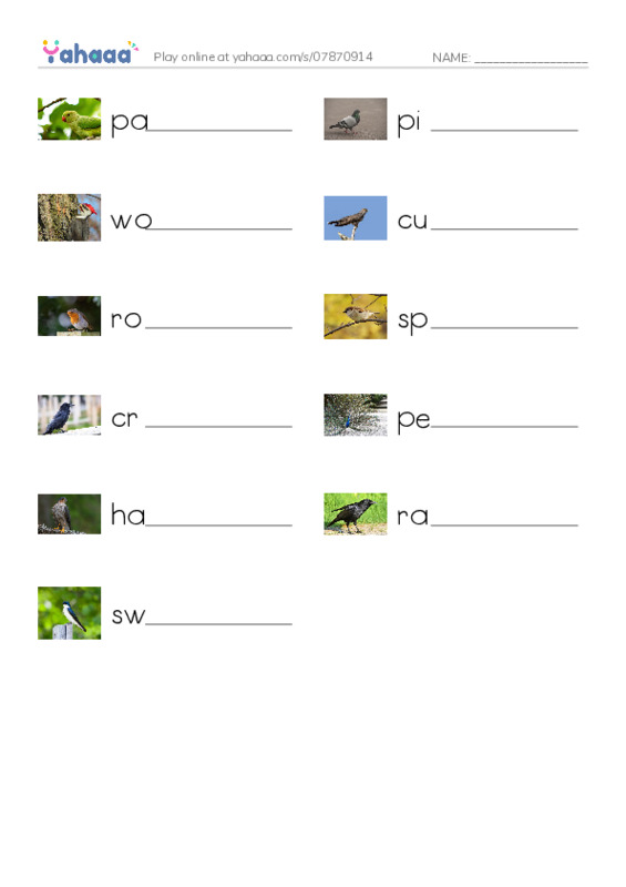 Birds Names (1) PDF worksheet writing row