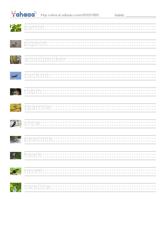 Birds Names (1) PDF write between the lines worksheet