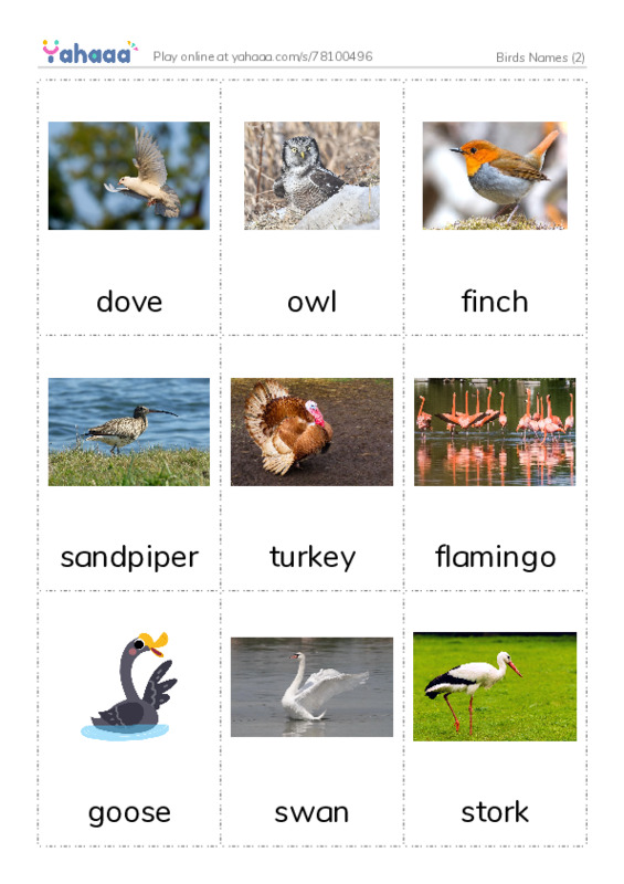 Birds Names (2) PDF flaschards with images