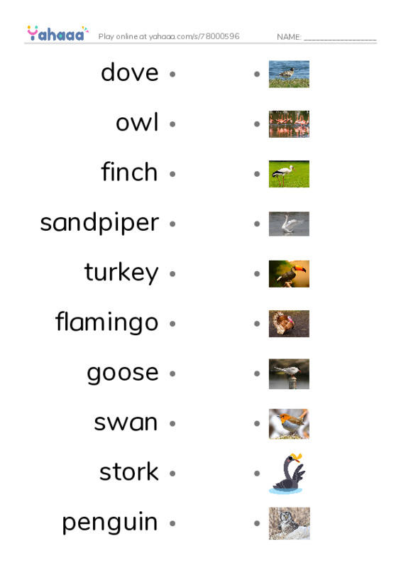 Birds Names (2) PDF link match words worksheet