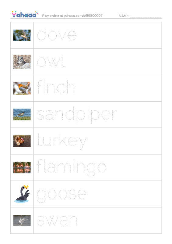 Birds Names (2) PDF one column image words