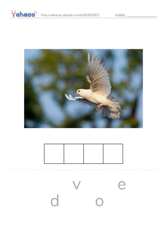 Birds Names (2) PDF word puzzles worksheet
