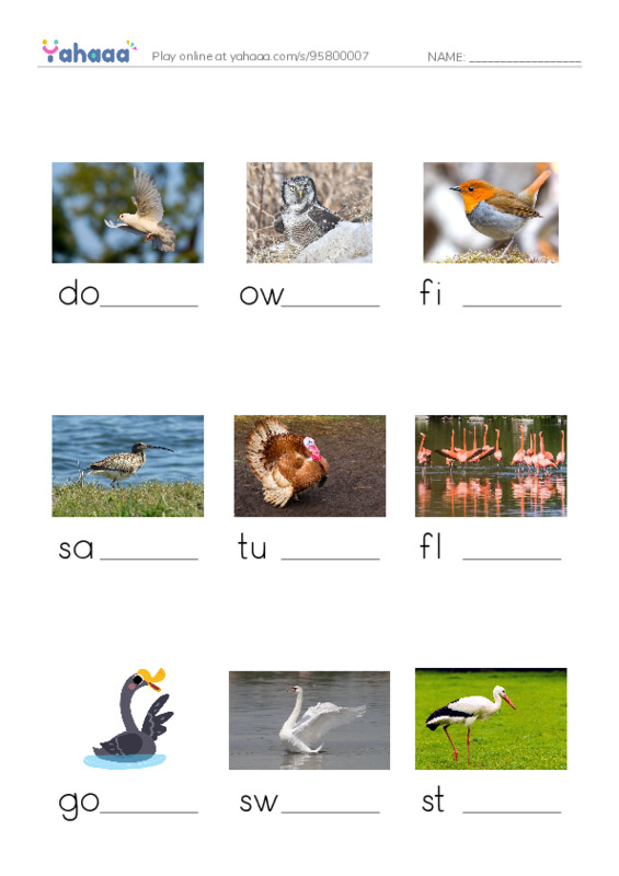 Birds Names (2) PDF worksheet to fill in words gaps