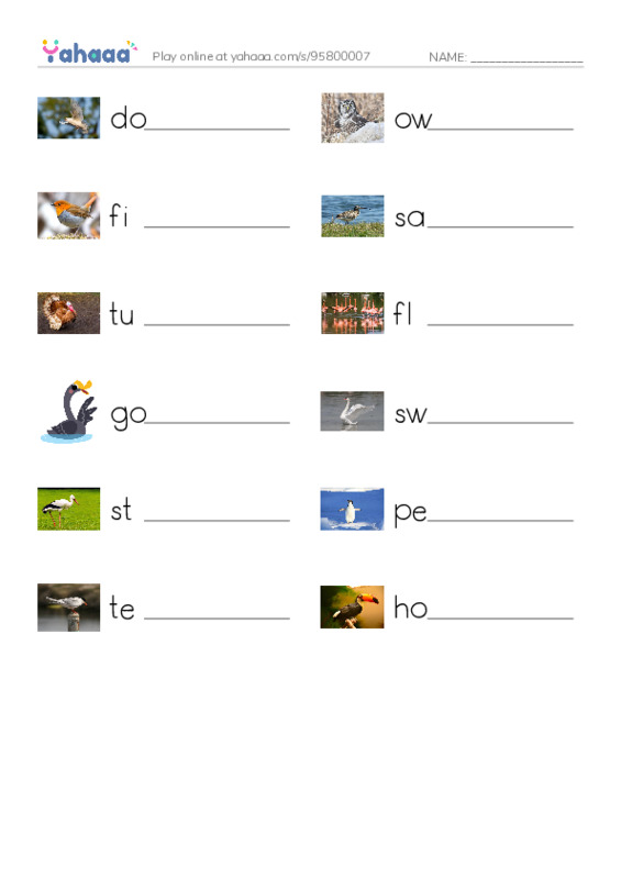 Birds Names (2) PDF worksheet writing row