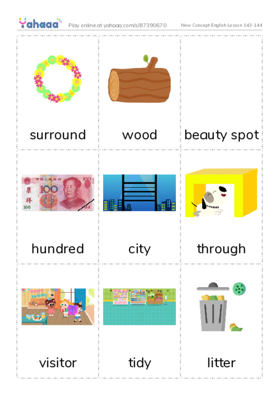 New Concept English Lesson 143-144 PDF flaschards with images