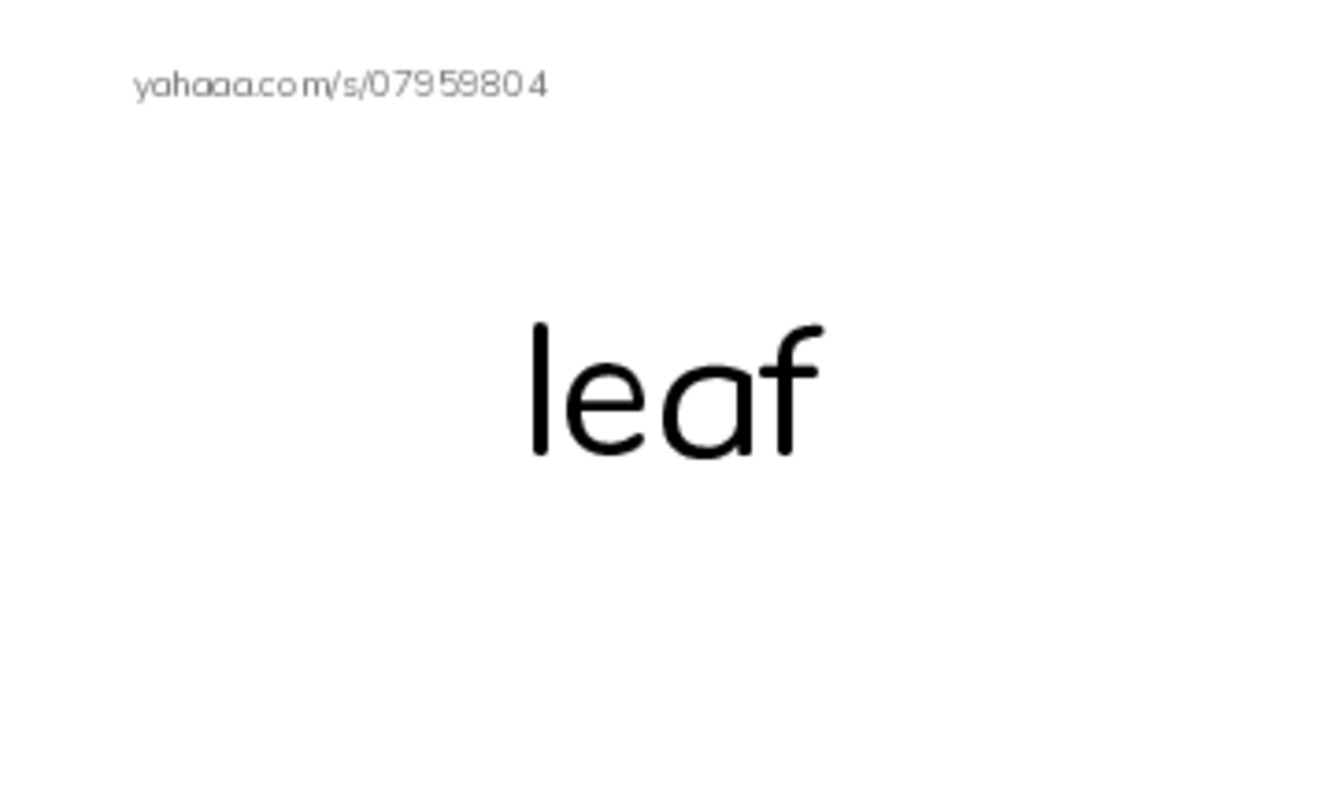 1000 basic English words: L 2 PDF index cards word only