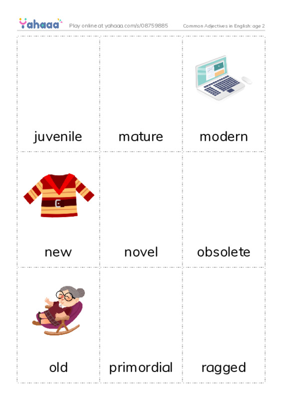 Common Adjectives in English: age 2 PDF flaschards with images
