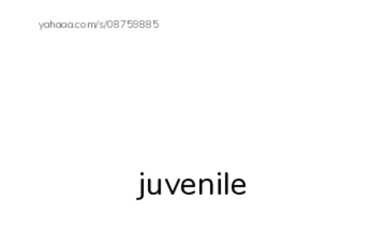 Common Adjectives in English: age 2 PDF index cards with images