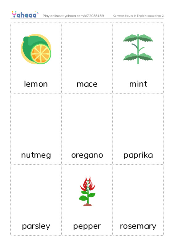 Common Nouns in English: seasonings 2 PDF flaschards with images