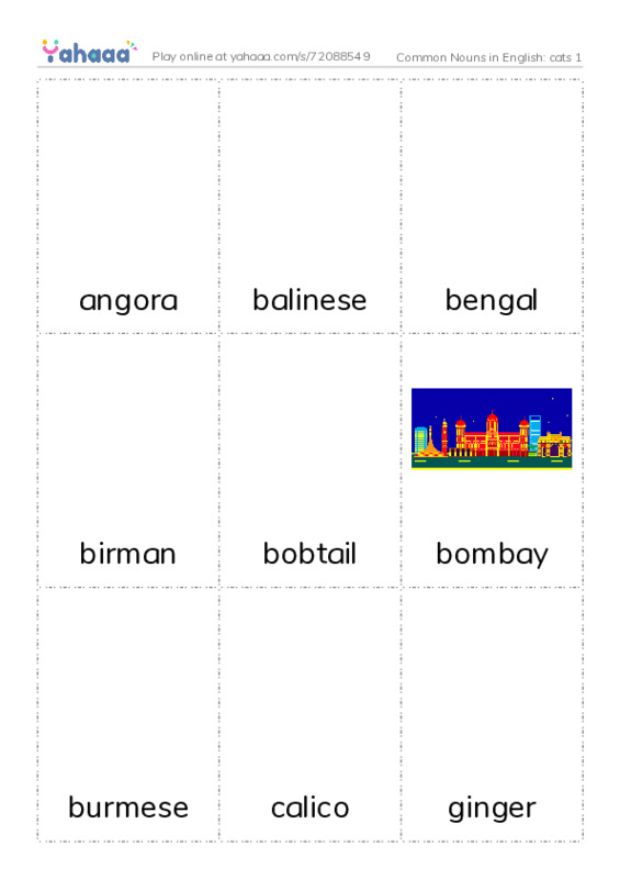 Common Nouns in English: cats 1 PDF flaschards with images