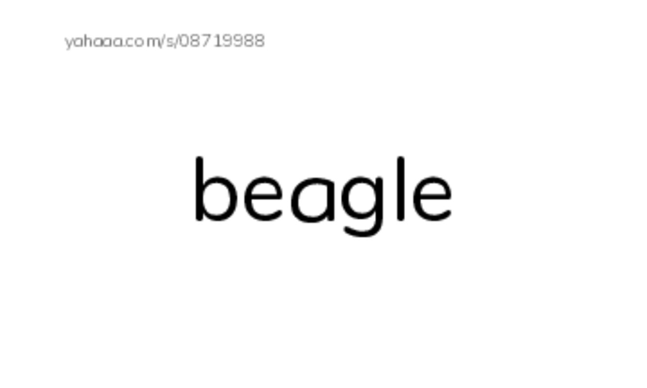 Common Nouns in English: dogs 1 PDF index cards word only