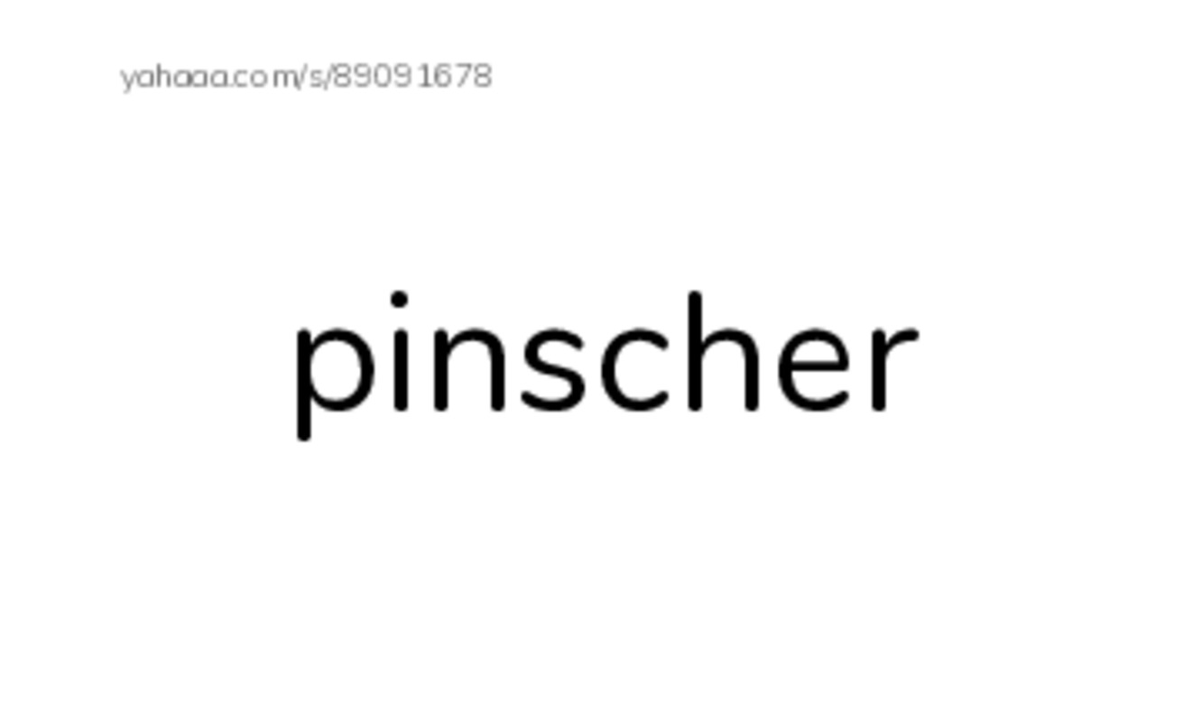 Common Nouns in English: dogs 2 PDF index cards word only