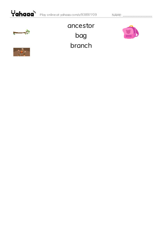 Common Nouns in English: algorithms 1 PDF three columns match words