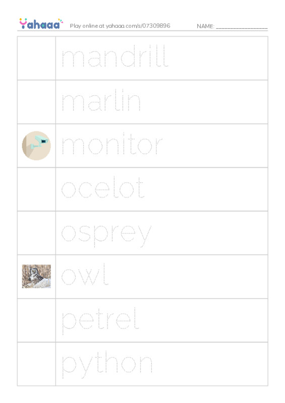 Common Nouns in English: apex predators 3 PDF one column image words
