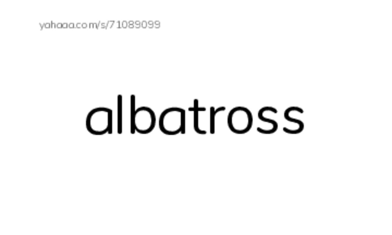 Common Nouns in English: birds 1 PDF index cards word only