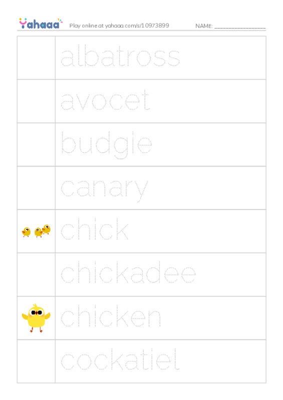 Common Nouns in English: birds 1 PDF one column image words