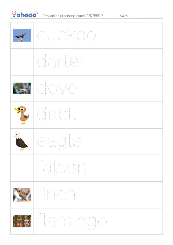 Common Nouns in English: birds 2 PDF one column image words